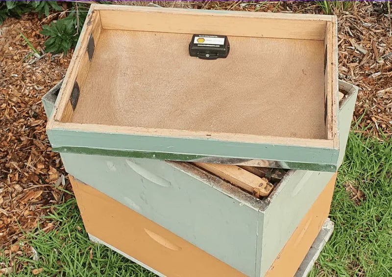 beehive-tracking-1-1