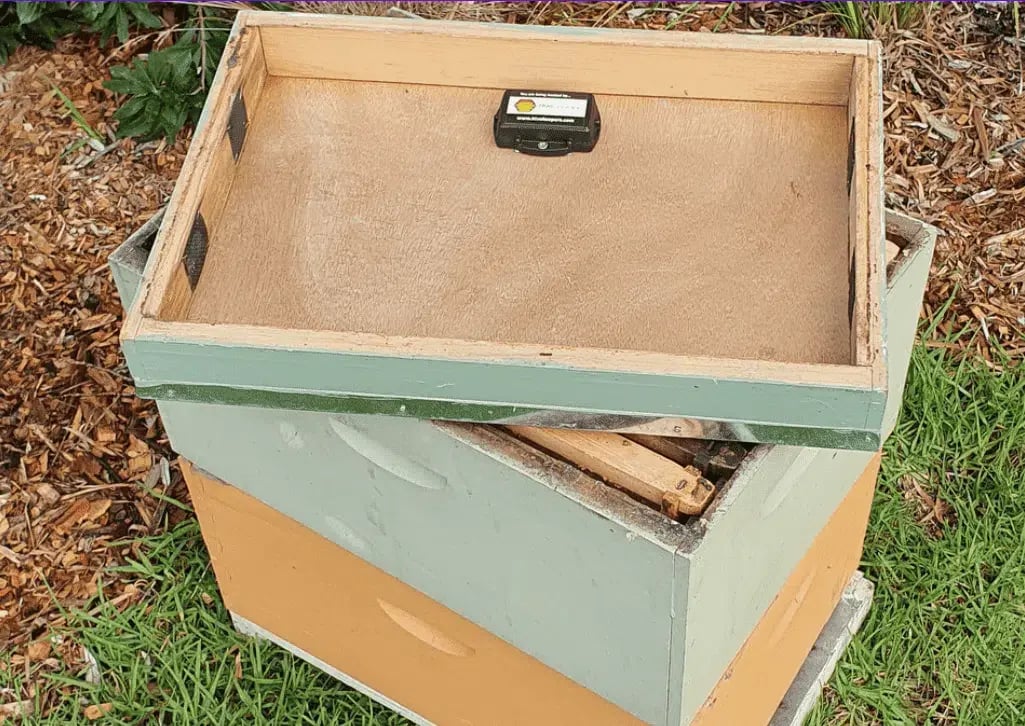 Beehive Monitoring and Tracking with the Yabby Edge