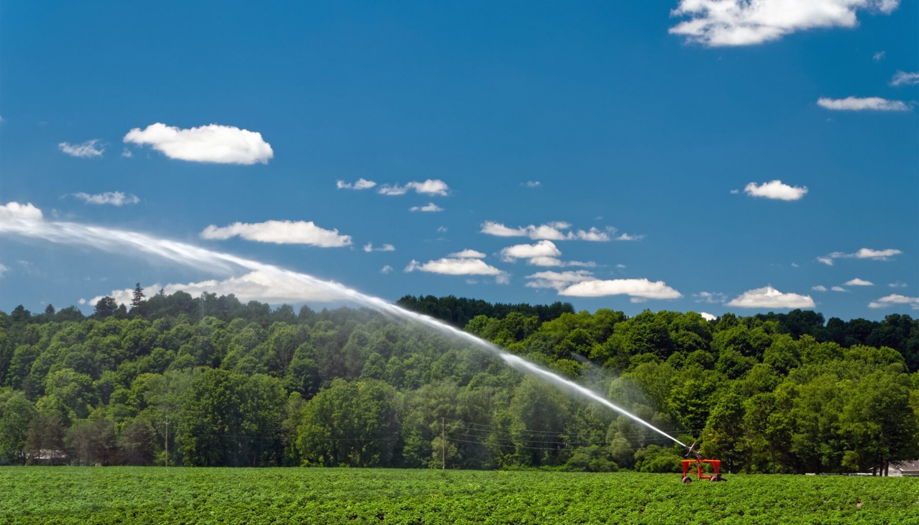 Smart Irrigation Scheduling