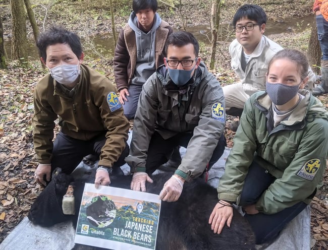 Picchio-Bear-Management-scaled