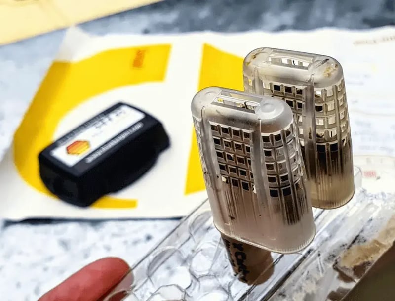 queen-bee-monitoring-1-1