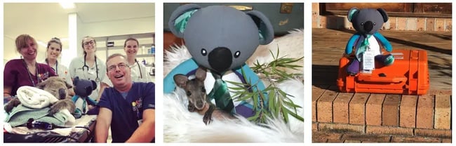 Screen-Shot-2020-06-15-at-1.38.38-pm