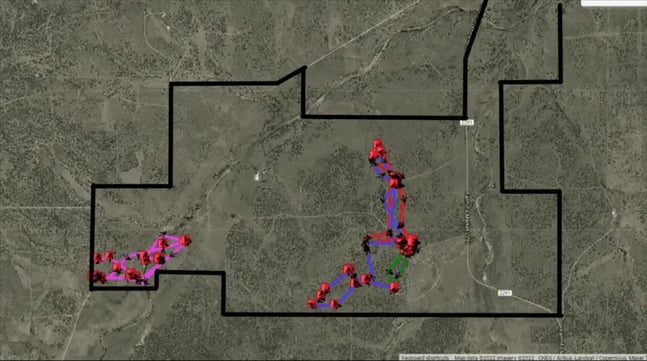 Screen-Shot-2022-09-02-at-10.27.11-am-1-1-1-1-1-1-1-1024x571