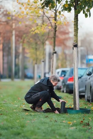 Soil-Moisture-Placing