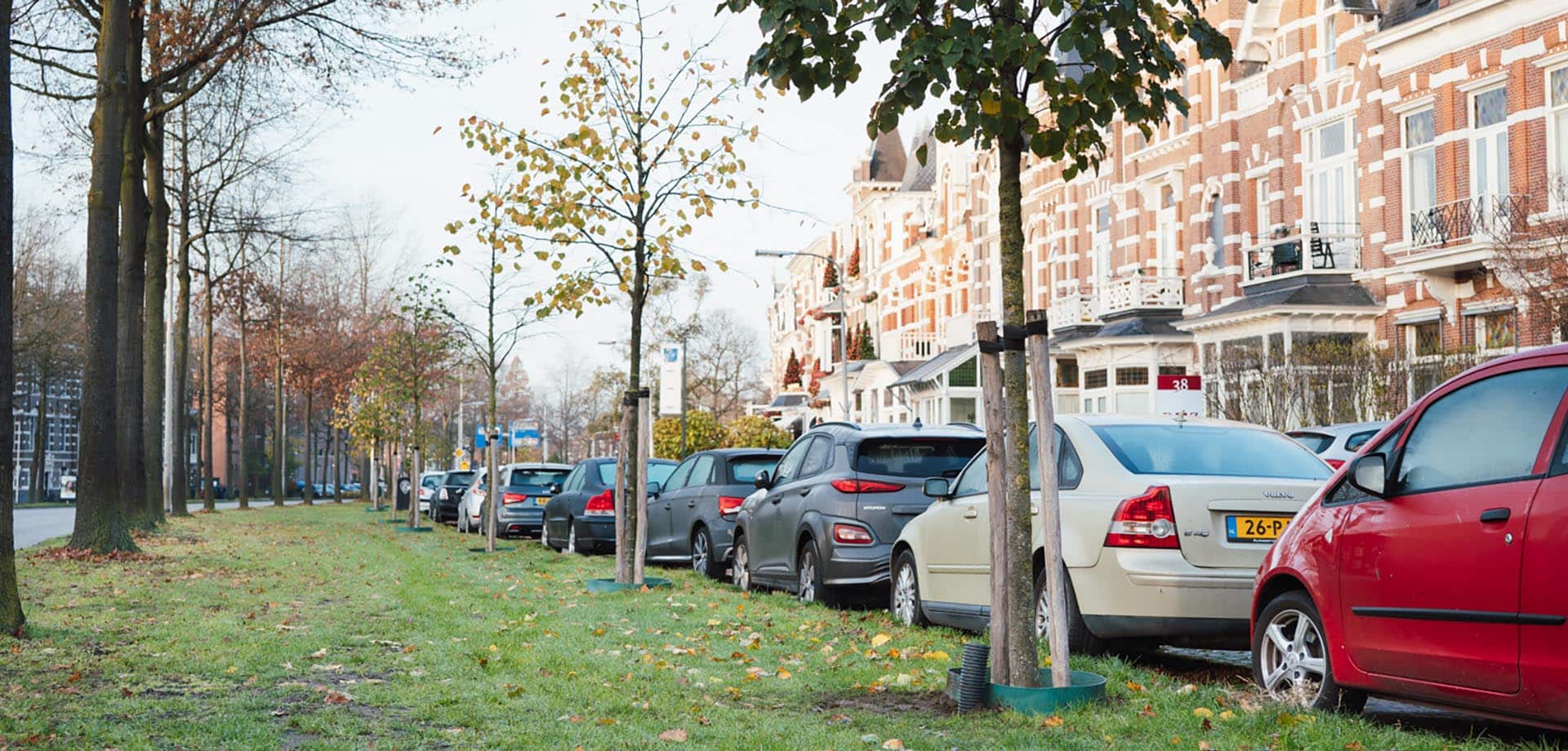 TreeMania: Sustainable Tree Management with IoT