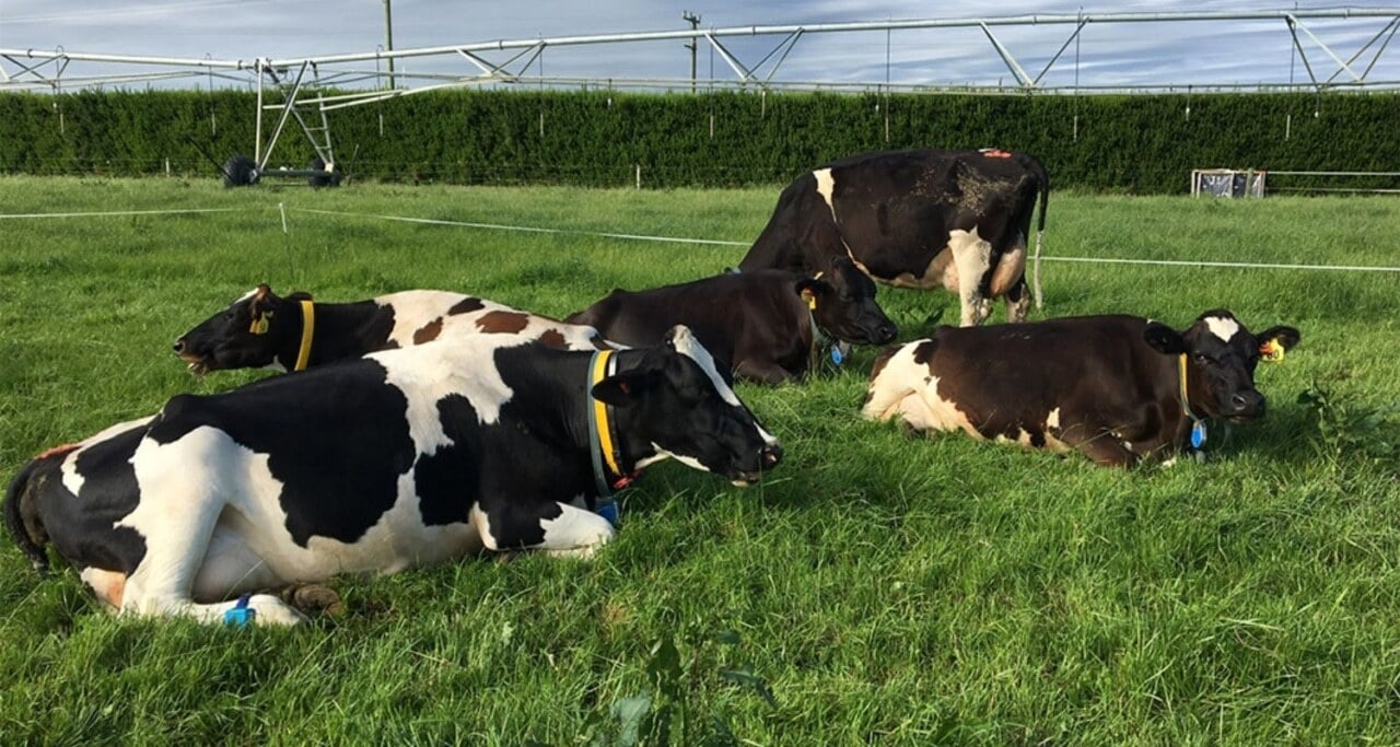 Website-Case-Study-image-1500-x-800-13-1280x683