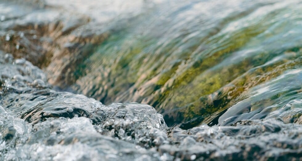 Website-Case-Study-image-1500-x-800-28-980x523