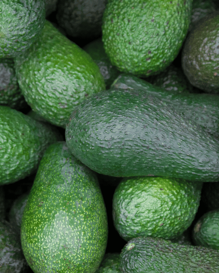 Avocado Feature Case Study