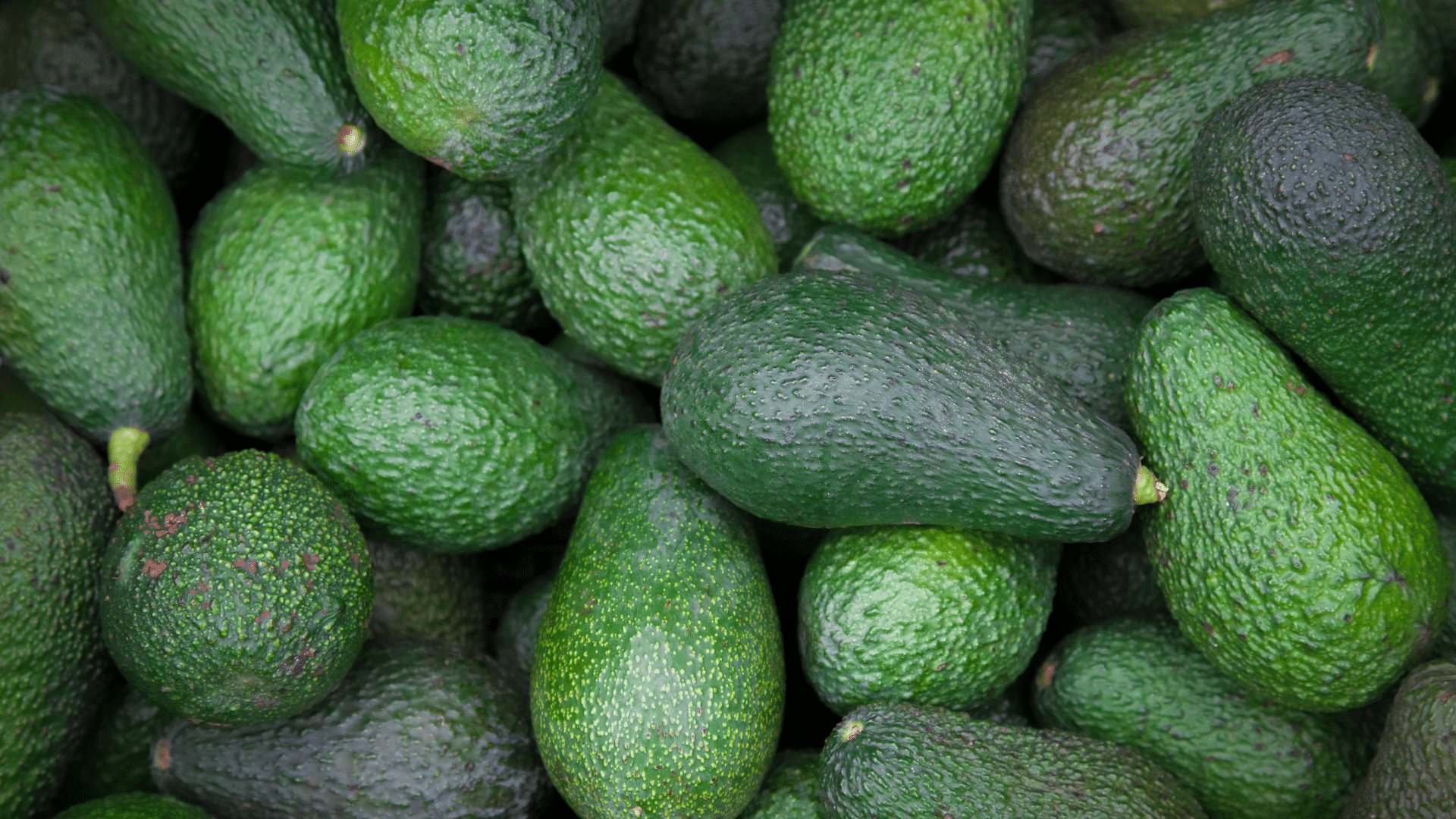Enhancing Avocado Trade Transparency with IoT