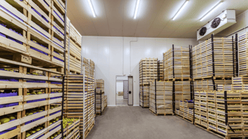 Cold storage warehouse with stacked wooden crates of produce, illustrating cold chain temperature monitoring and refrigerated asset management solutions.