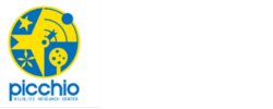 Picchio Case Study