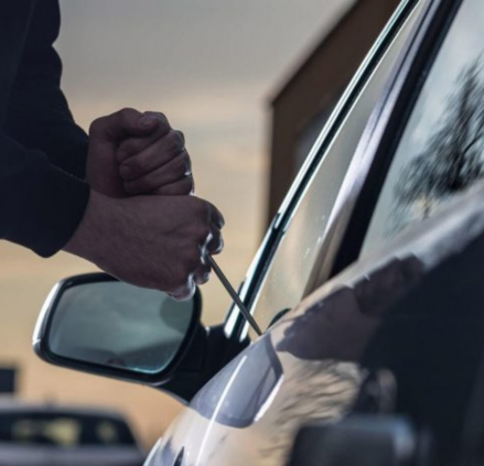 Remote Immobilization-1