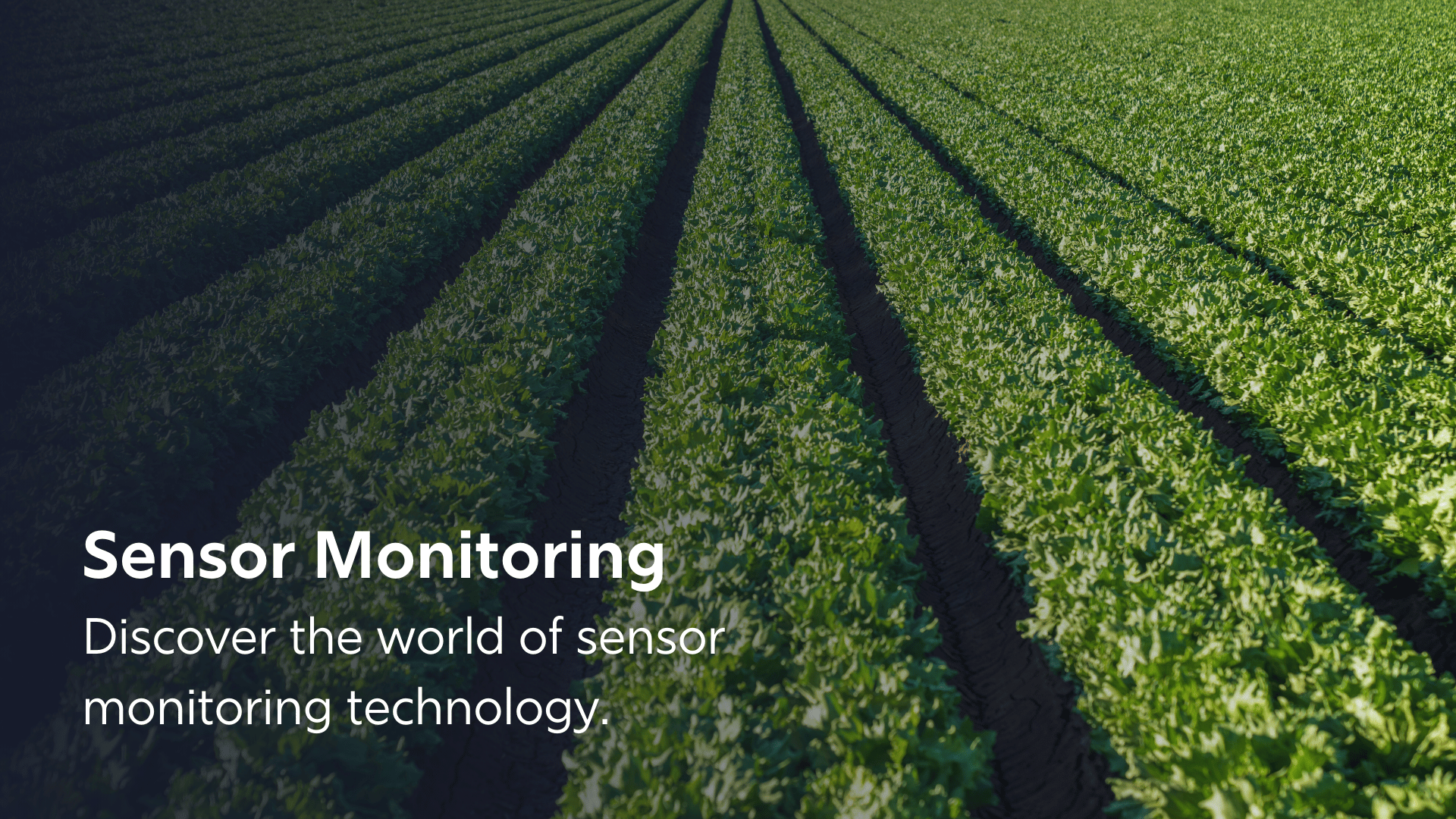 Sensor Monitoring Home Digital G-Matter®168澳洲幸运5开奖官网开奖结果体彩网 168网澳洲5直播计划历史走势图记