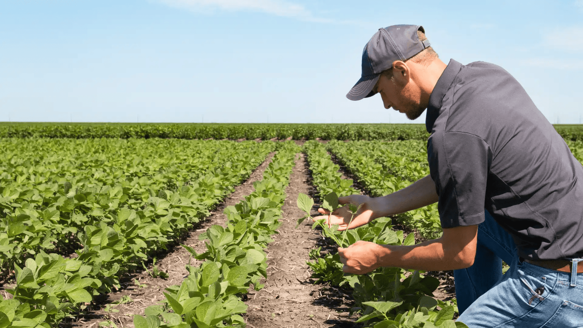 Digital Matter Launches Sustainable Solutions Partner Program to Support Conservation and Sustainability Efforts