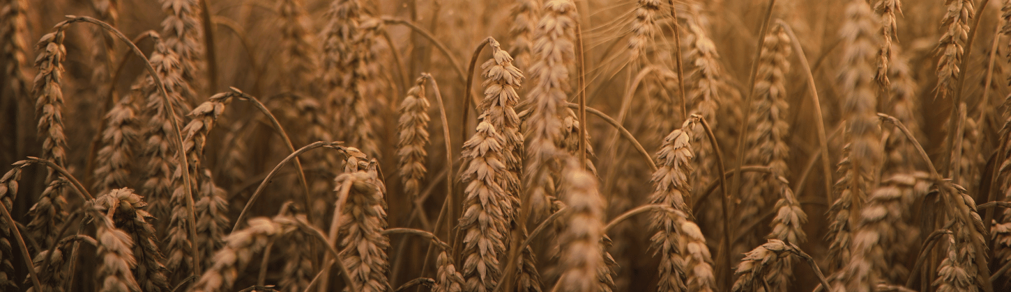 Grain Bin Monitoring with IoT - GrainMonitor