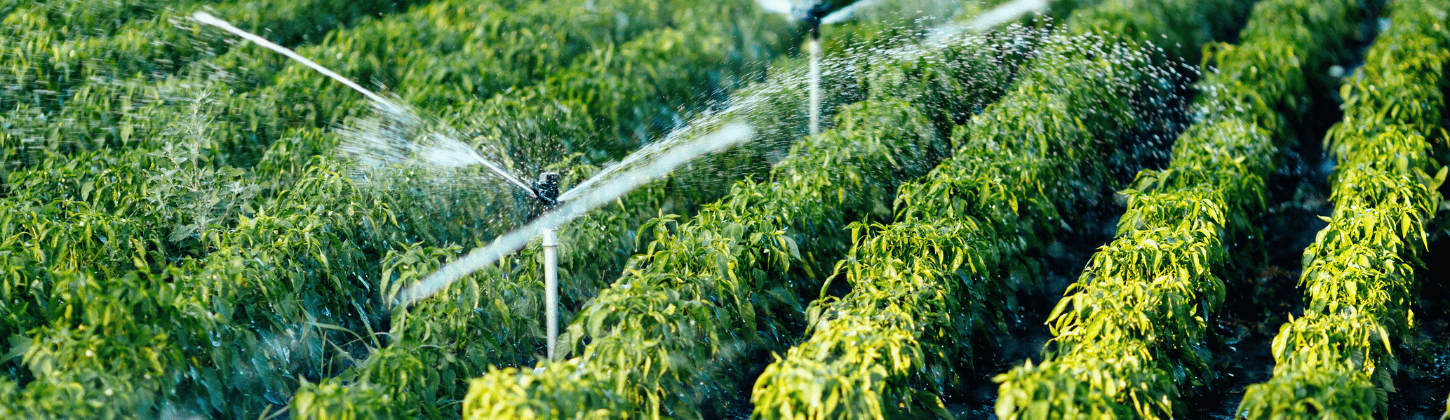 SensorNode LoRaWAN® for Pivot Irrigation Monitoring with AGWAN