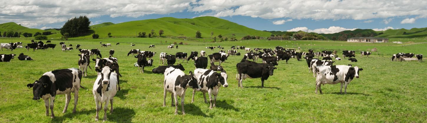 Optimizing Farm Performance and Profitability with IoT