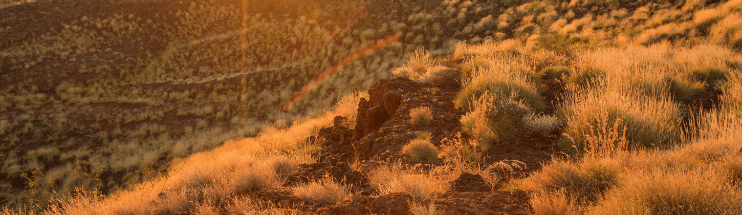 Enhancing Automated External Defibrillators Accessibility Across Australia