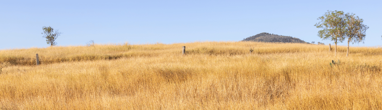 Improving Farm Safety and Management | LoRaWAN® and Farmdeck